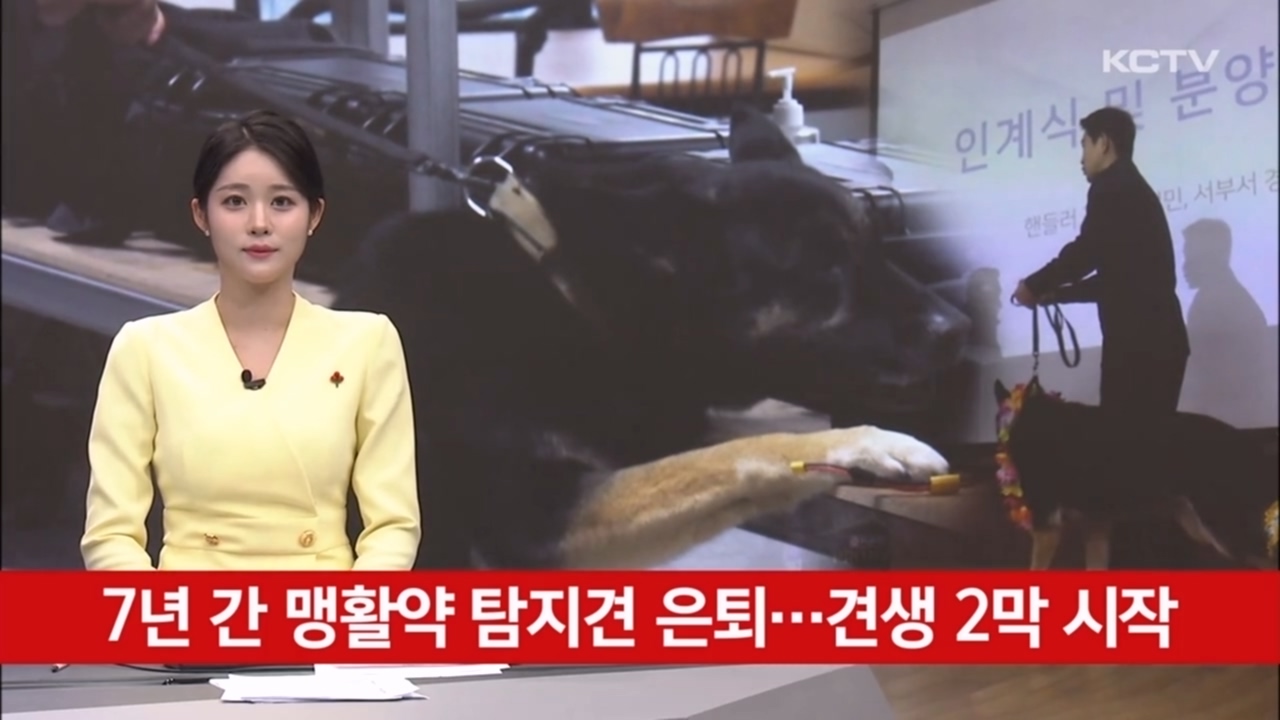 KCTV News7