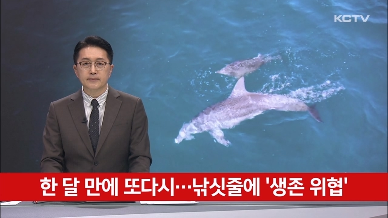 KCTV News7