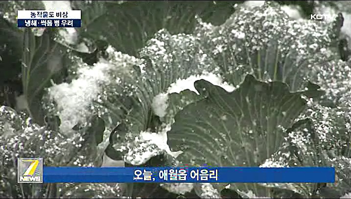 KCTV News7