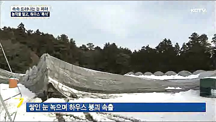 KCTV News7