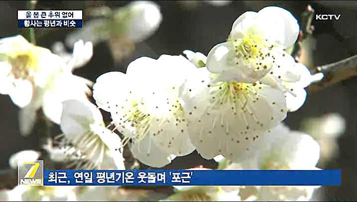 KCTV News7