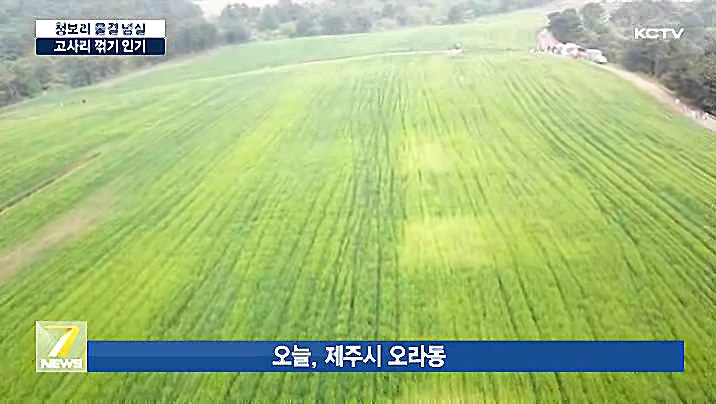 KCTV News7