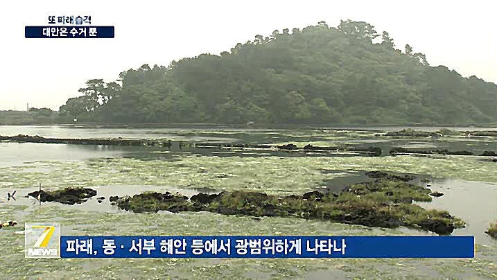 KCTV News7