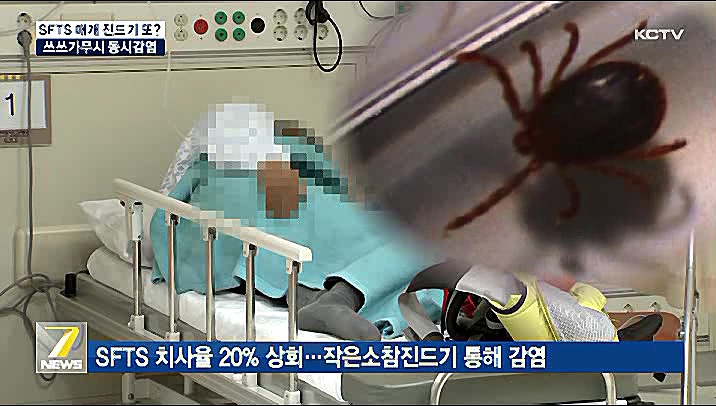 KCTV News7