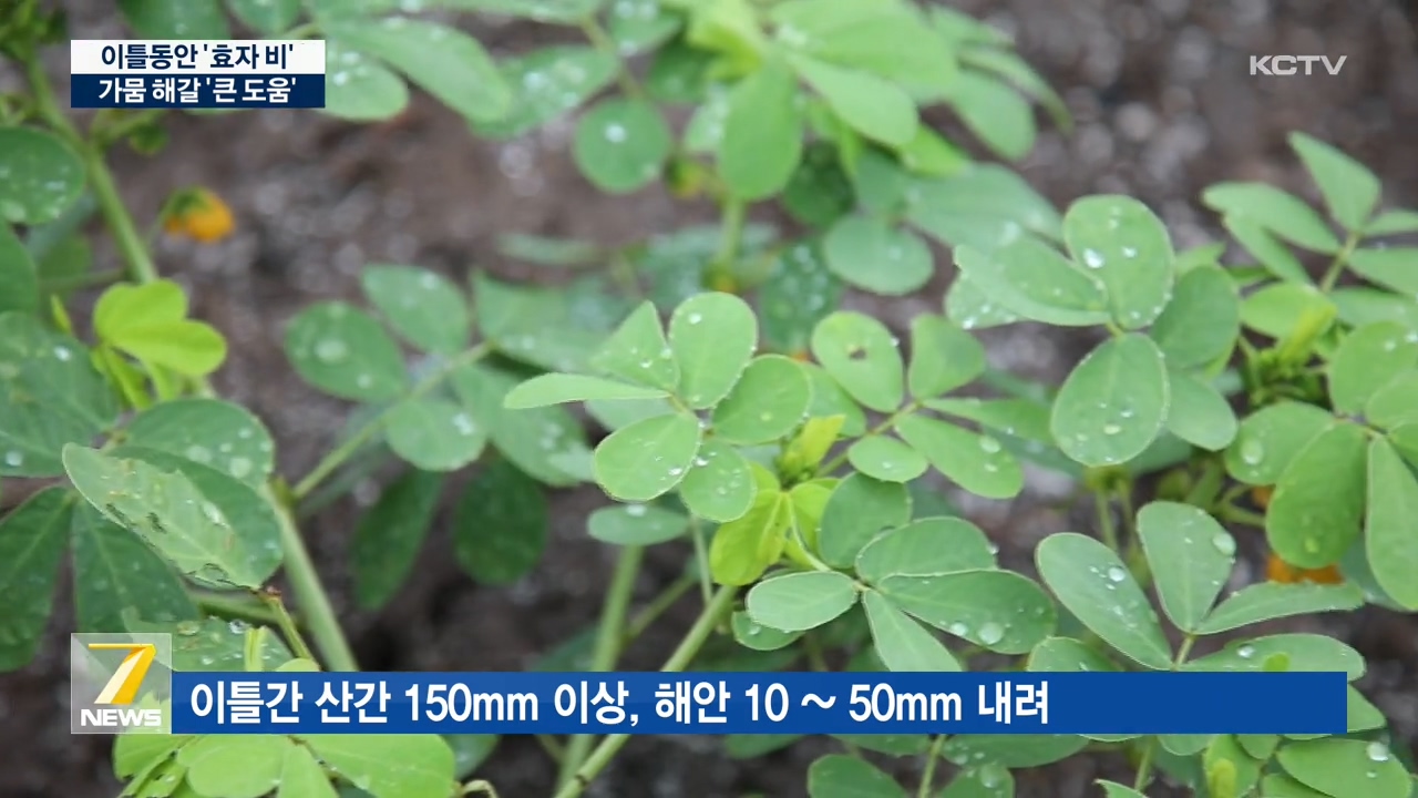 KCTV News7