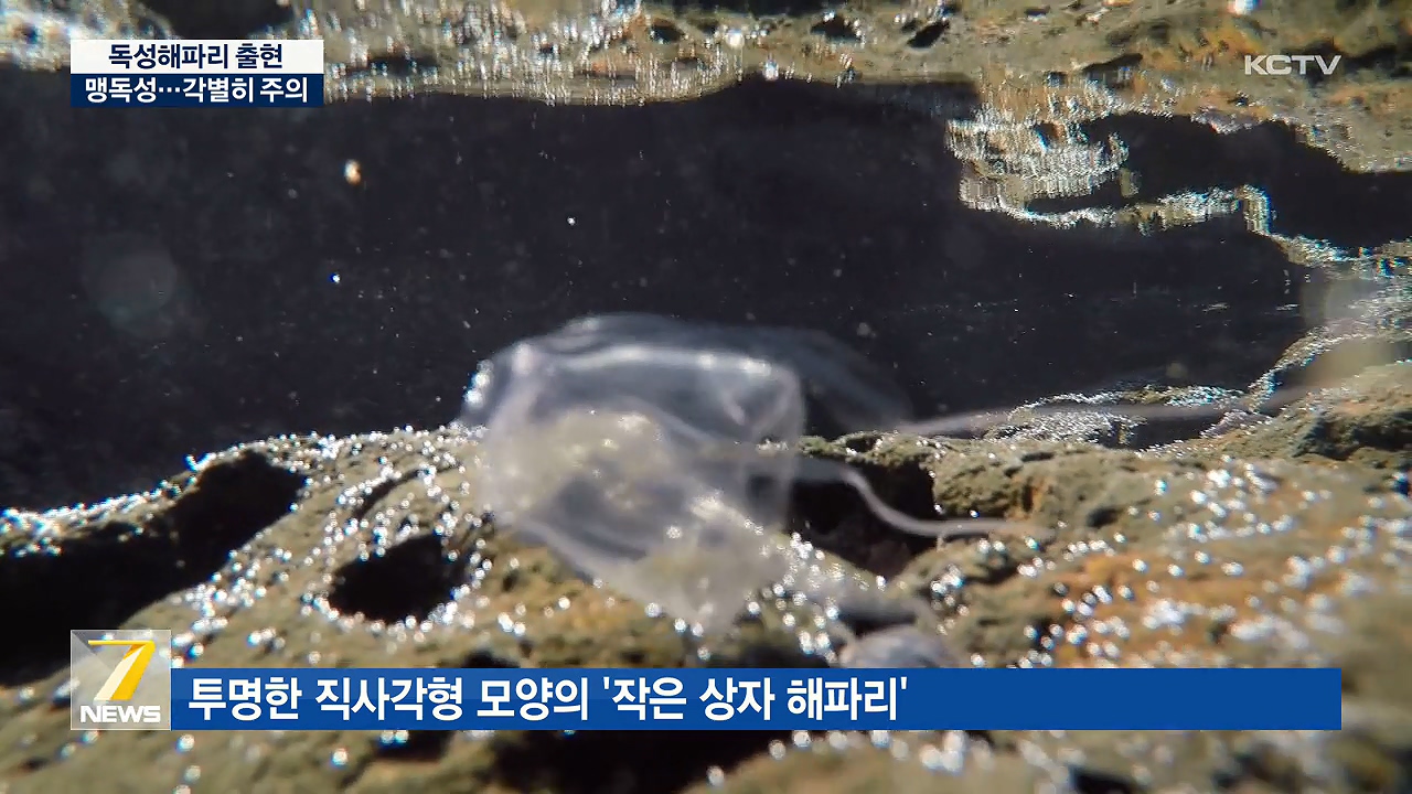 KCTV News7