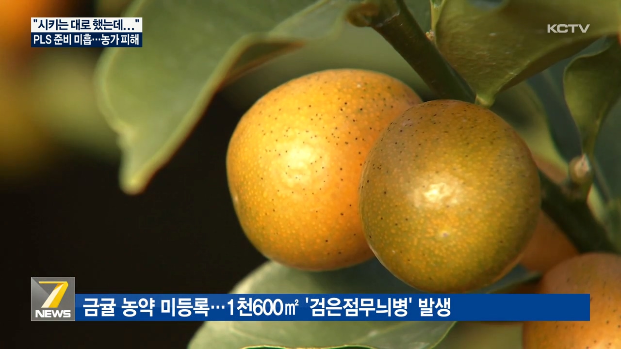 KCTV News7