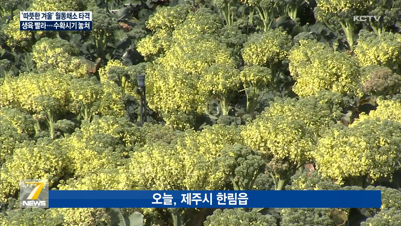 KCTV News7