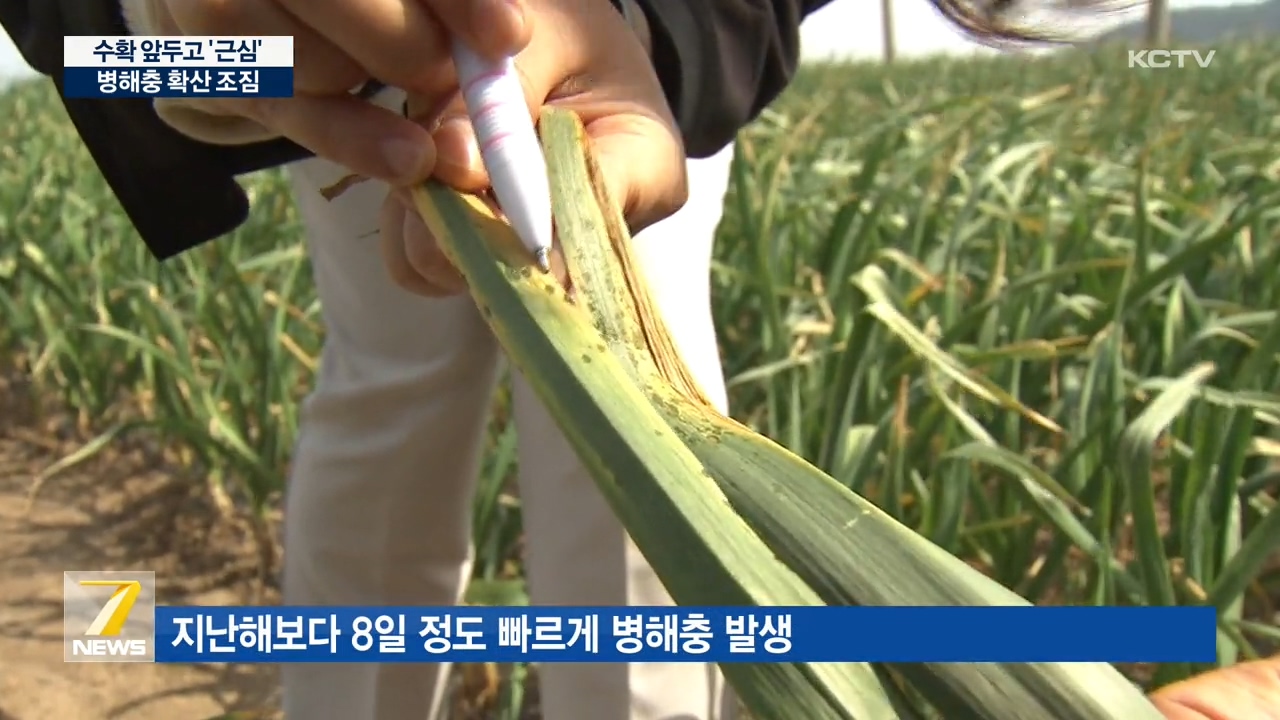 KCTV News7