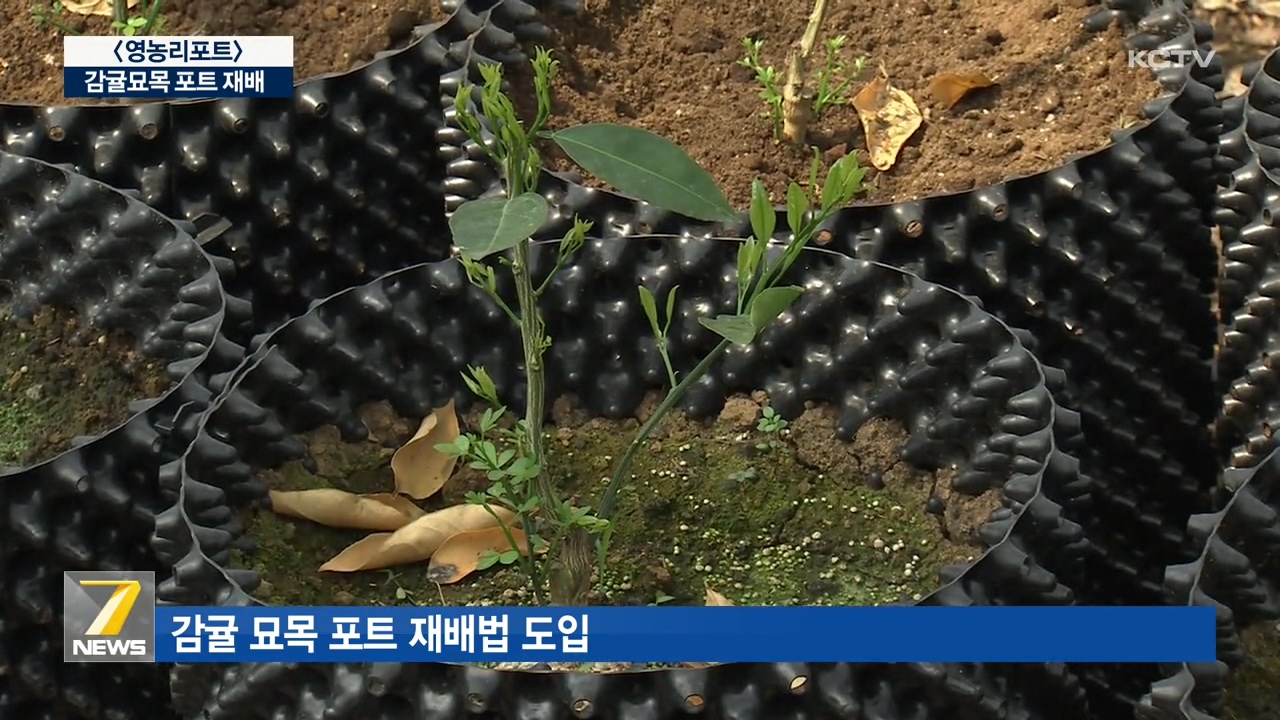 KCTV News7