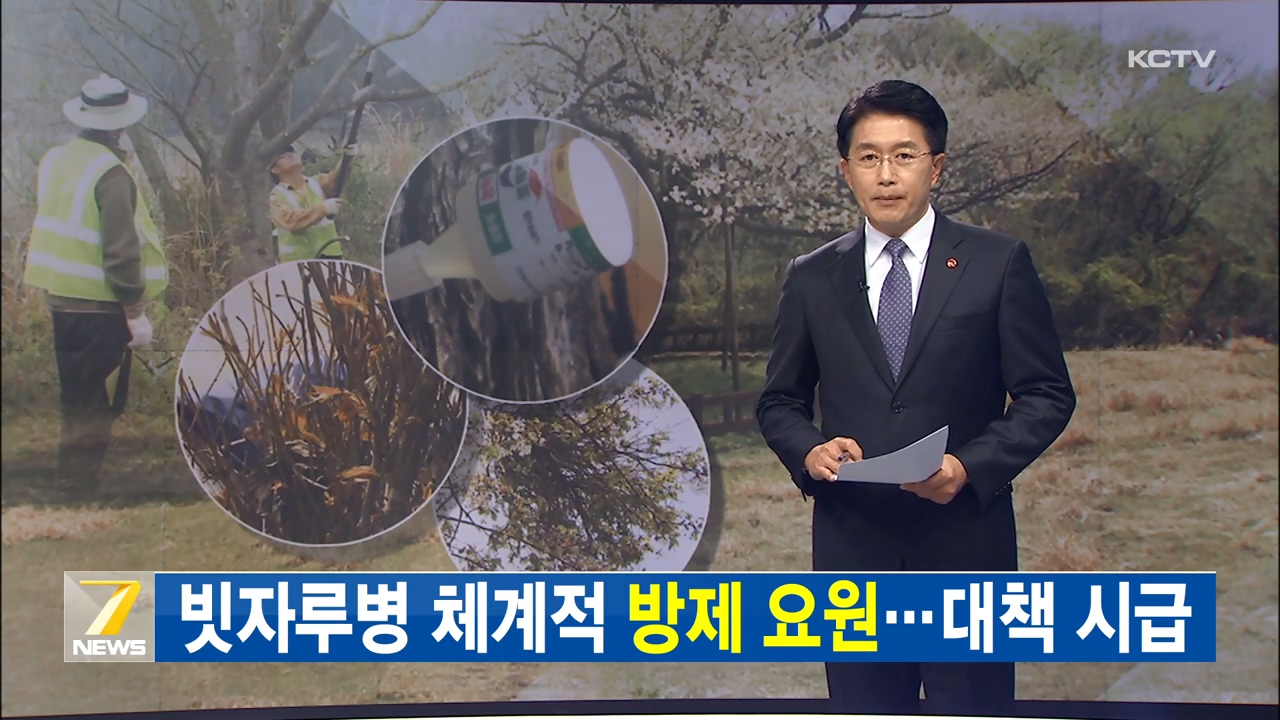 KCTV News7