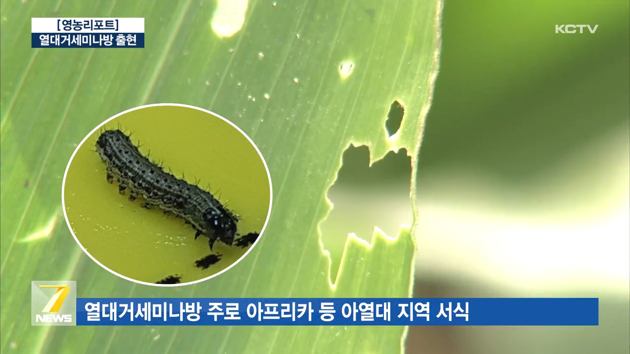 KCTV News7