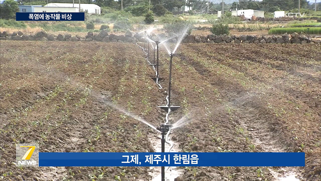 KCTV News7