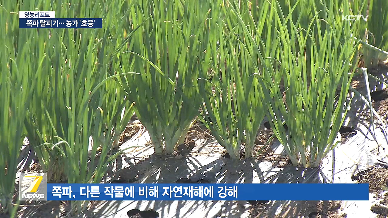 KCTV News7