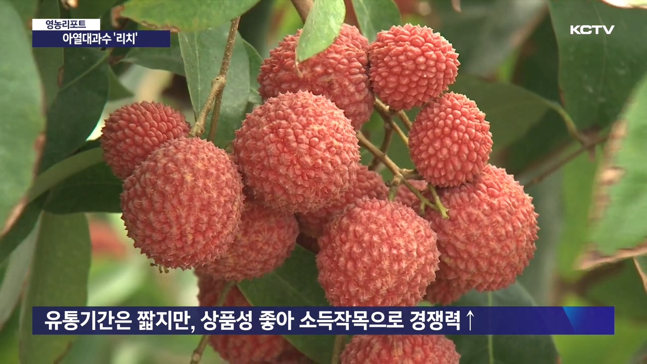 KCTV News7