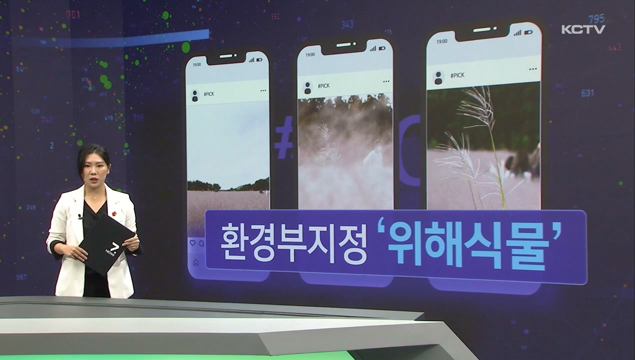 KCTV News7