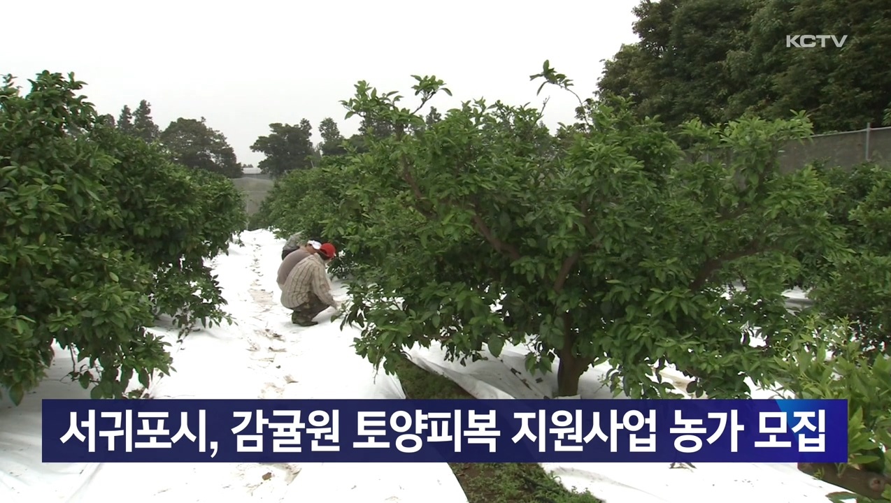 KCTV News7