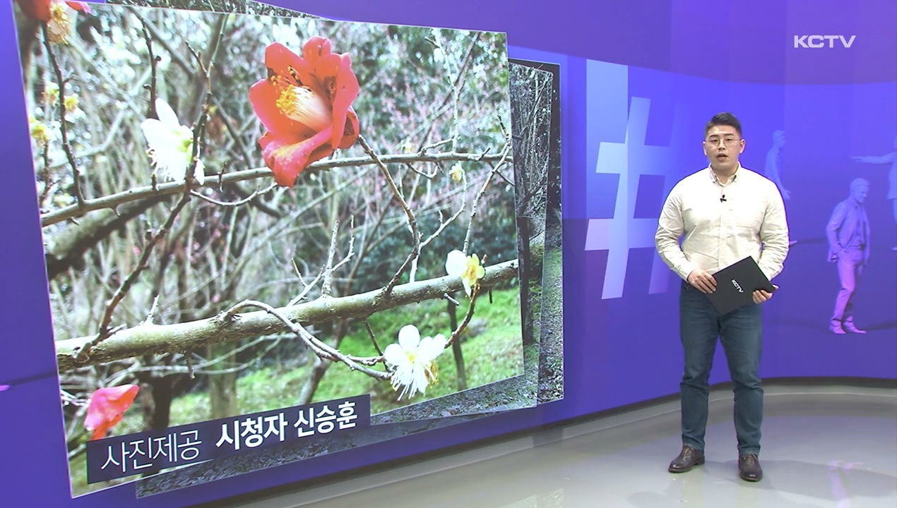 KCTV News7