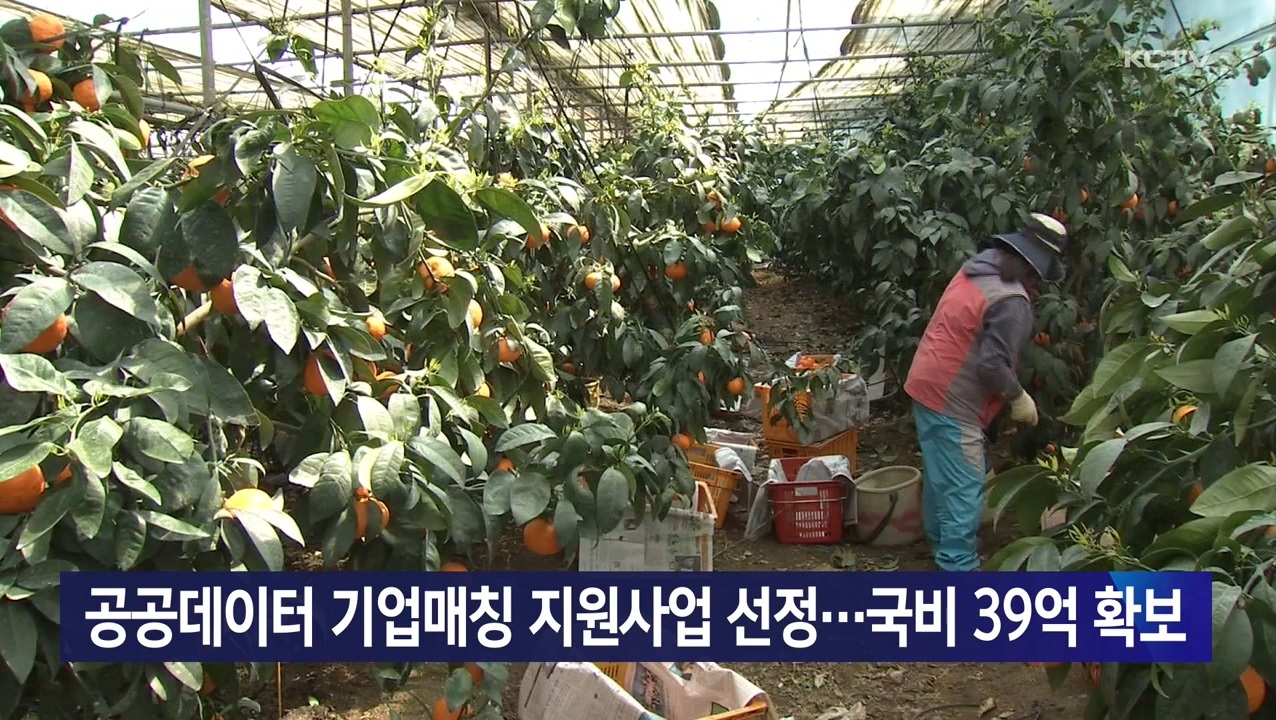 KCTV News7