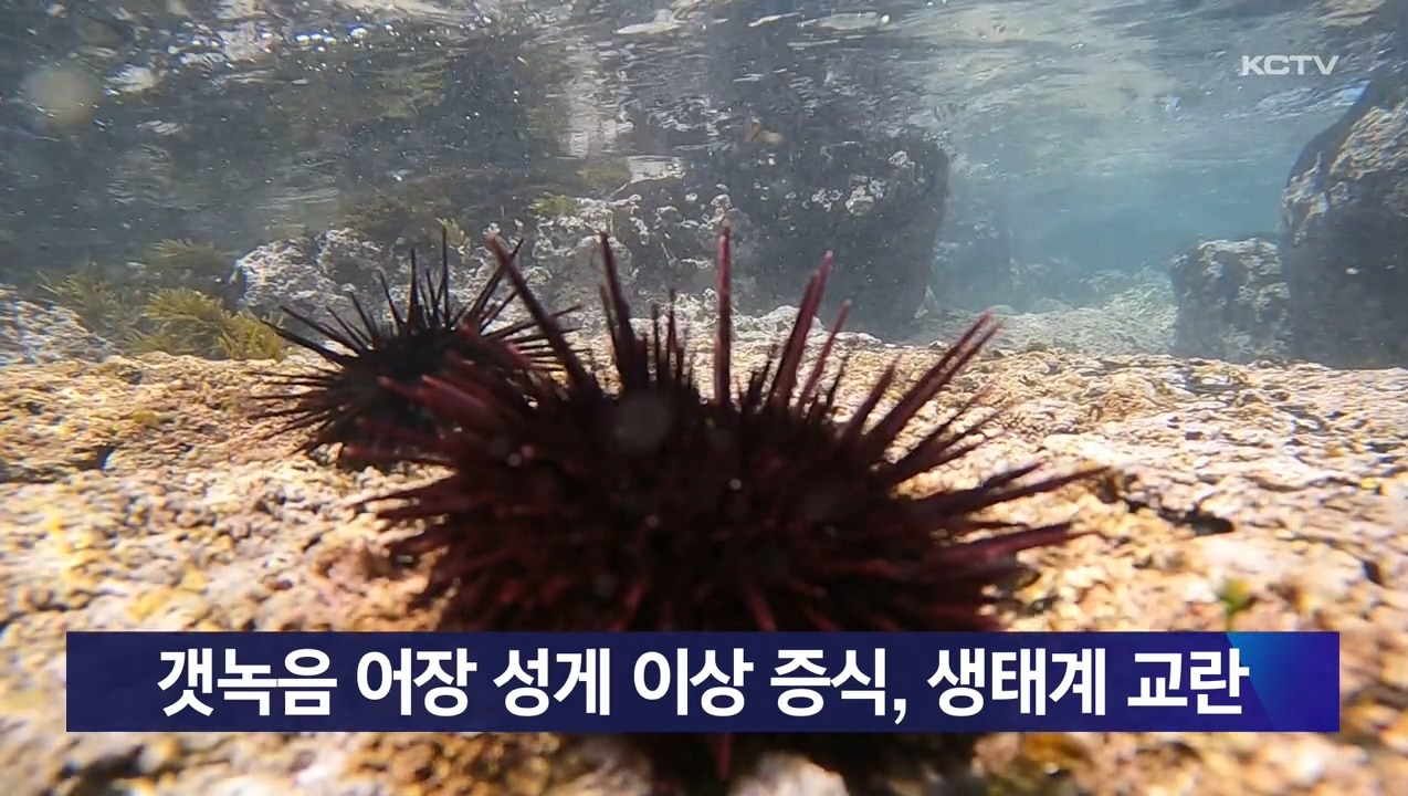 KCTV News7