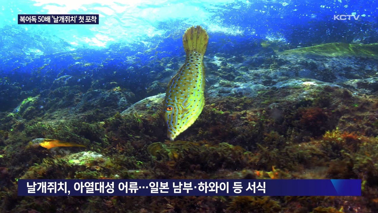 KCTV News7