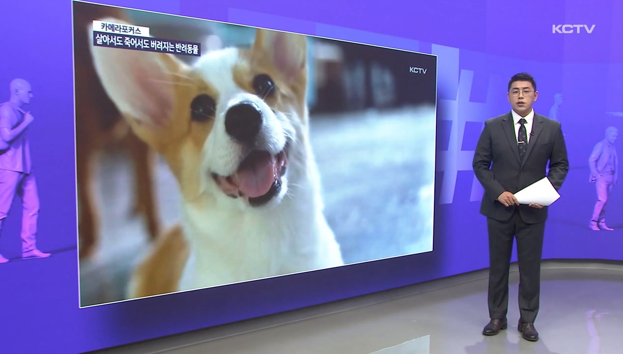 KCTV News7