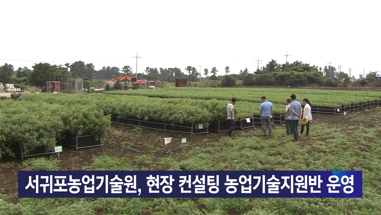 KCTV News7