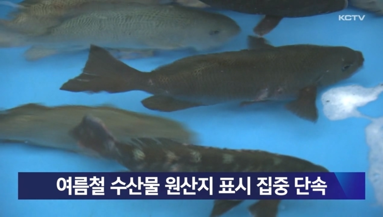 KCTV News7