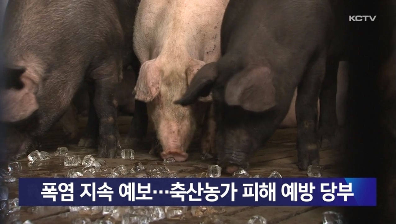 KCTV News7