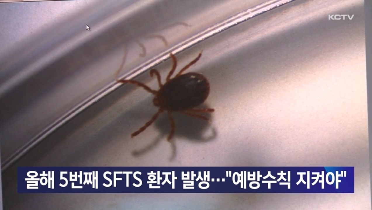 KCTV News7