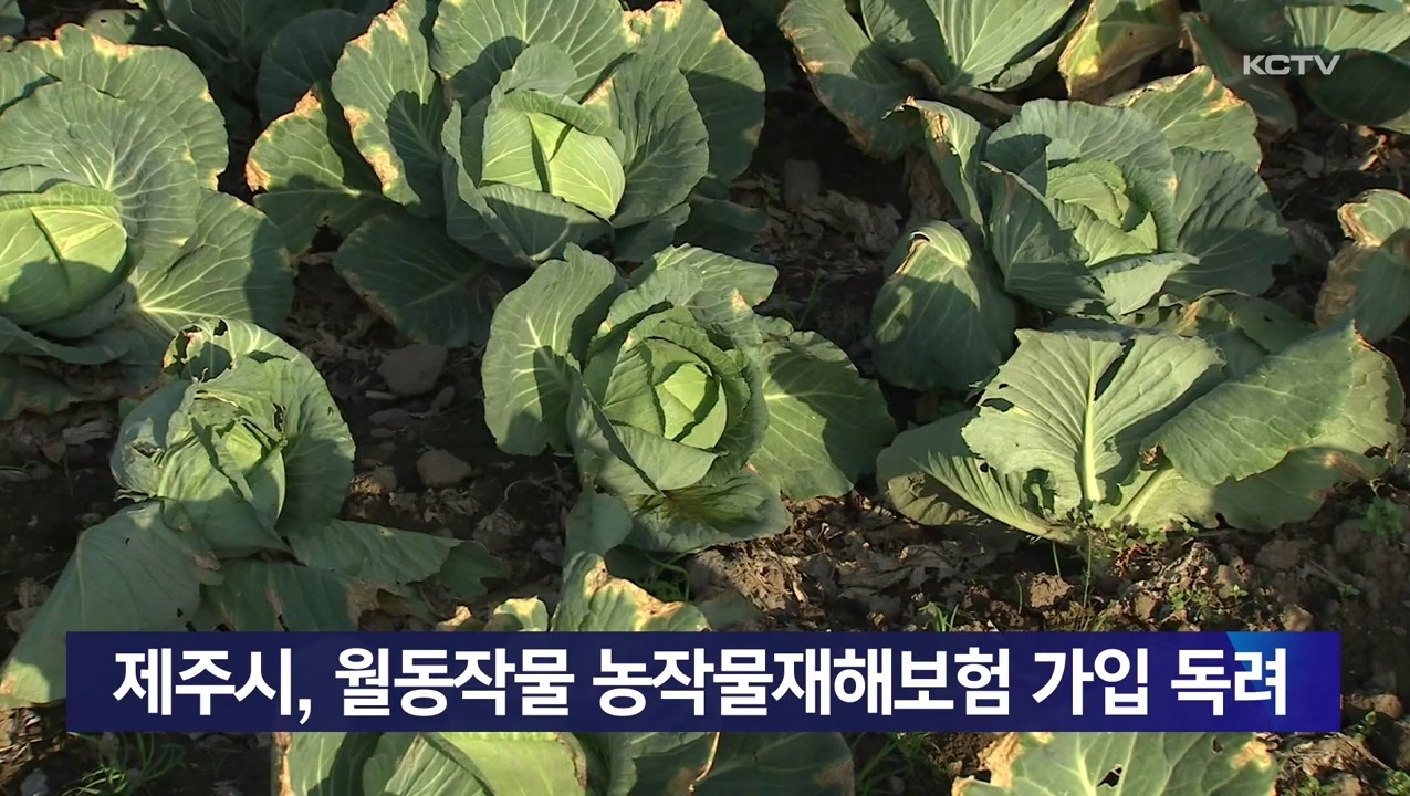 KCTV News7