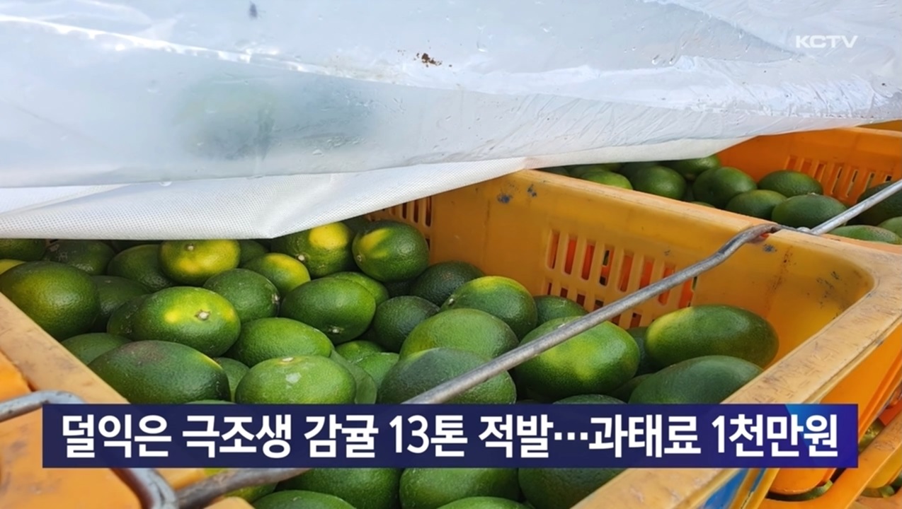 KCTV News7