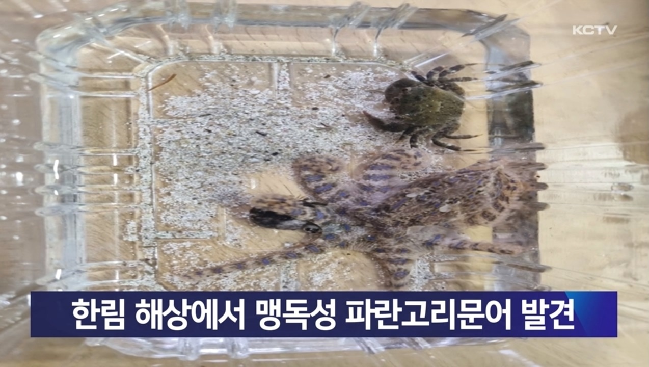 KCTV News7