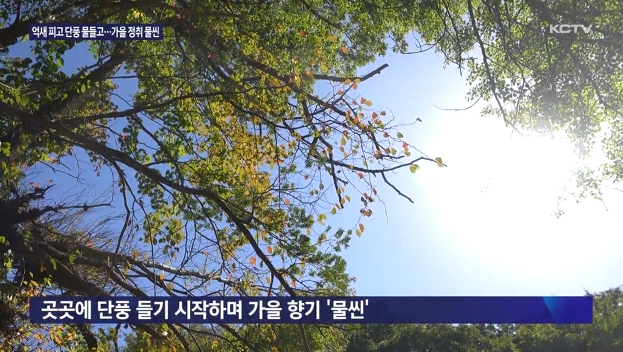 KCTV News7