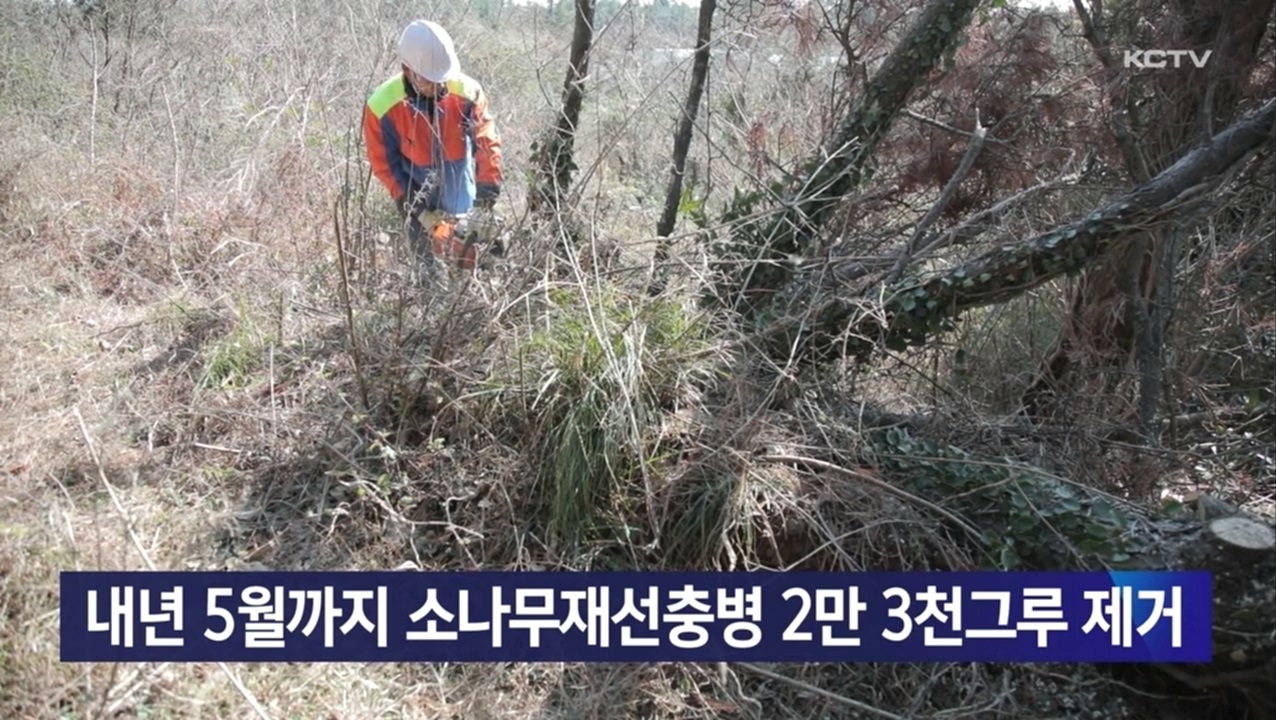 KCTV News7
