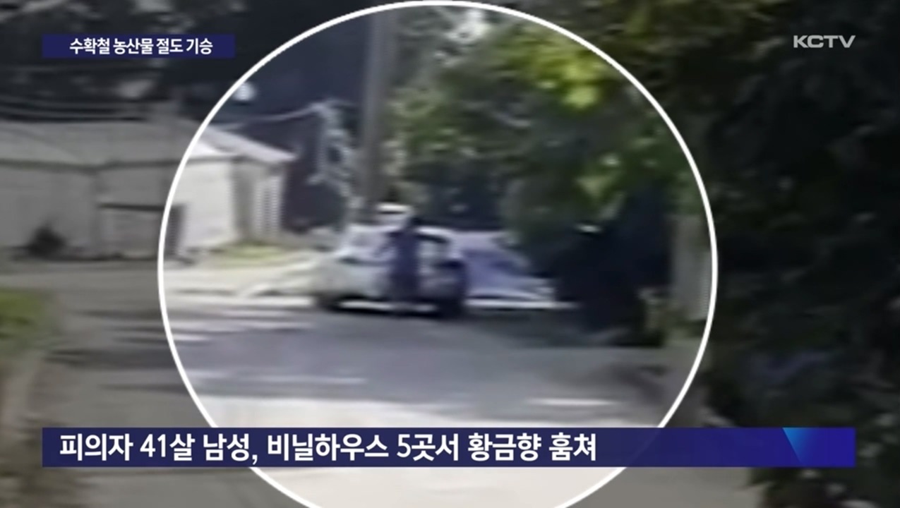KCTV News7