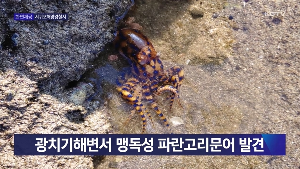KCTV News7