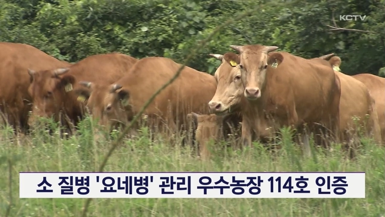 KCTV News7