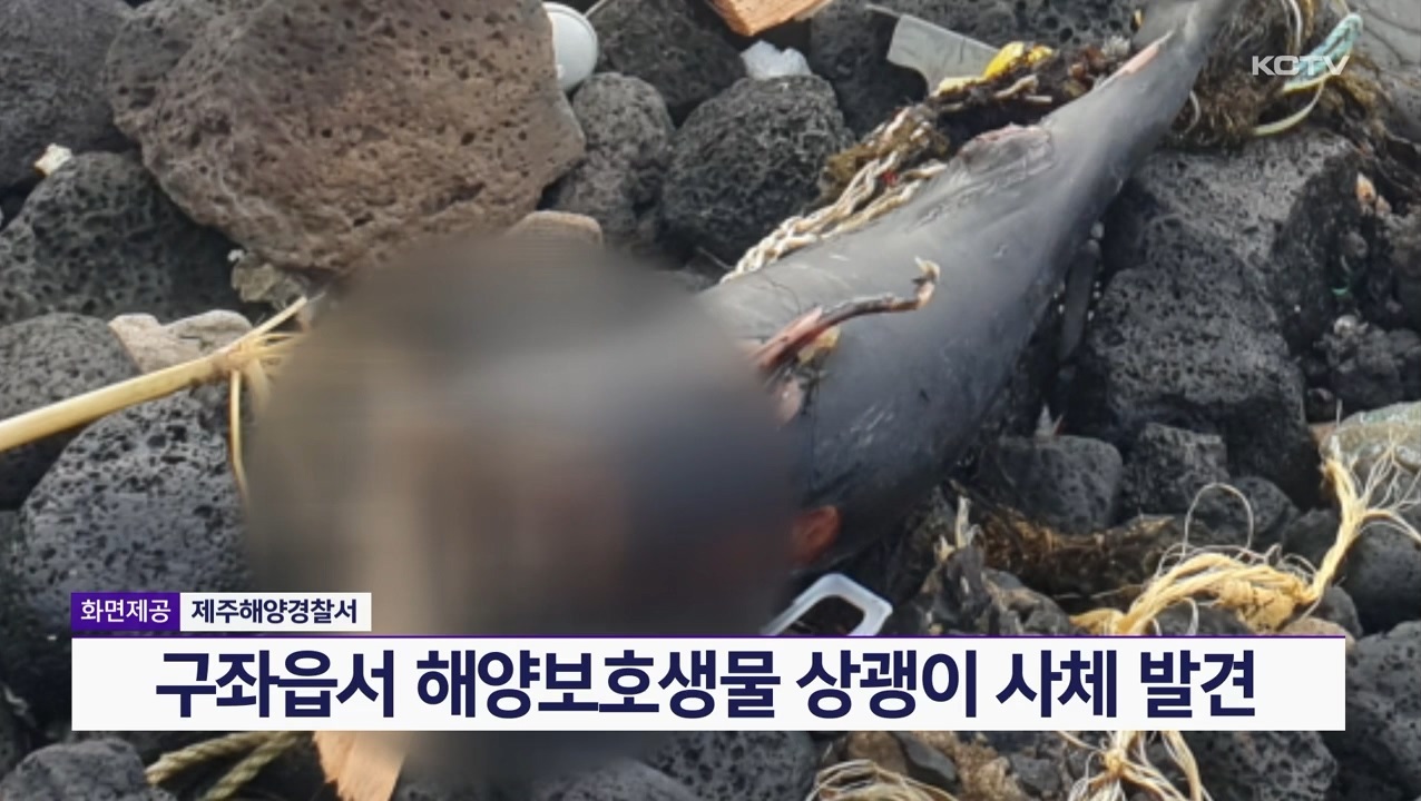 KCTV News7