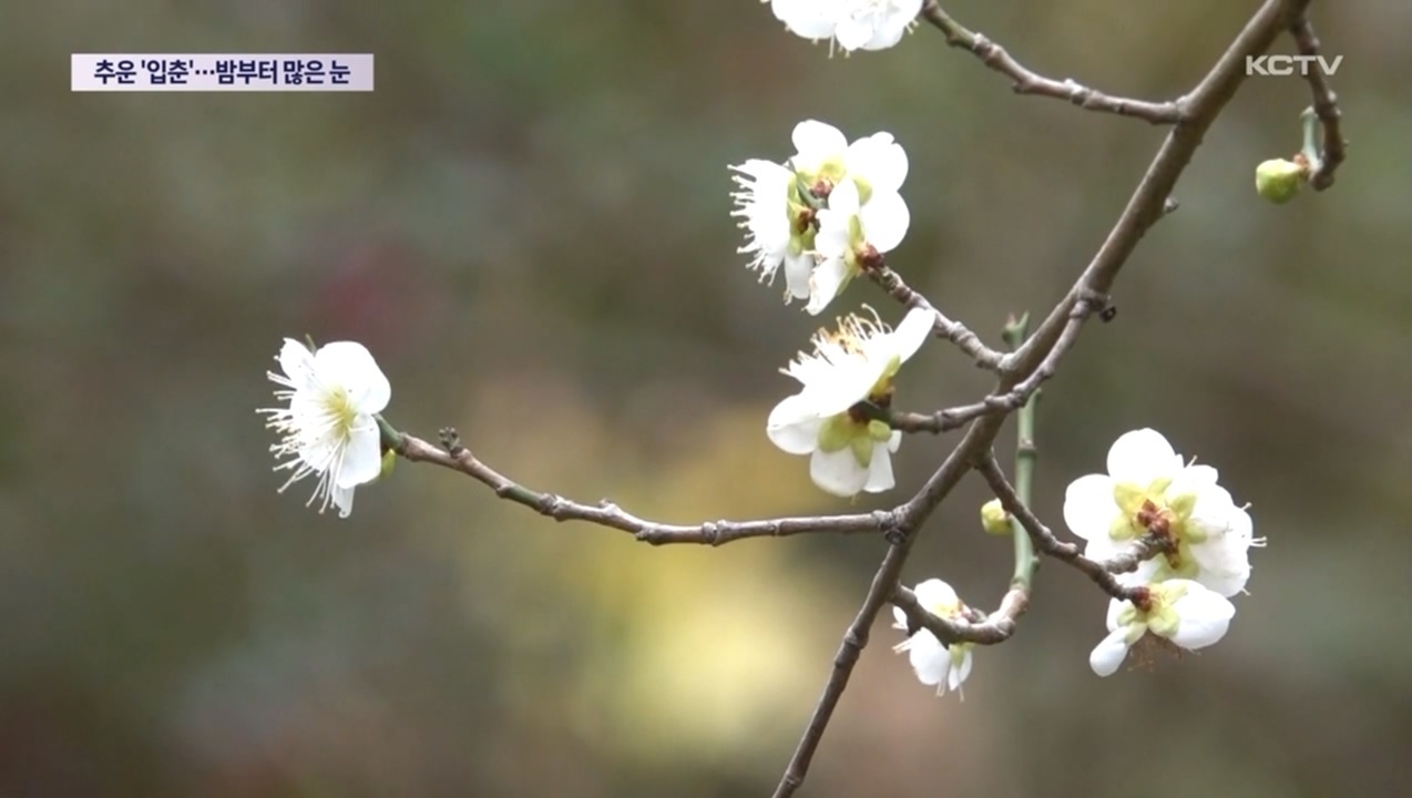 KCTV News7