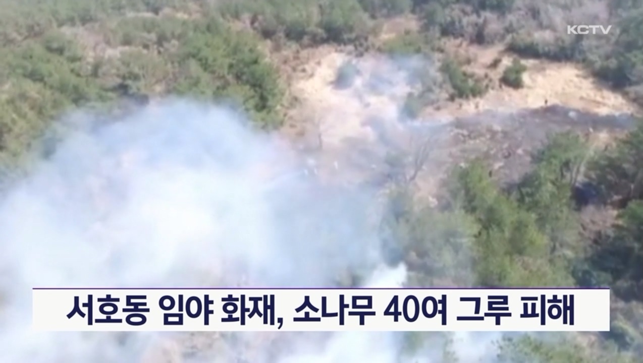 KCTV News7
