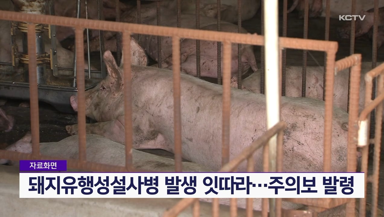 KCTV News7