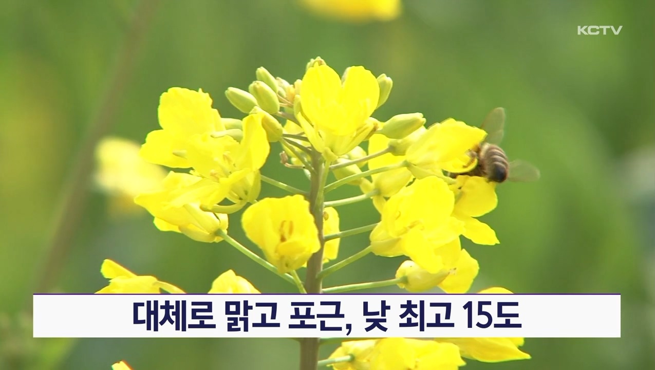 KCTV News7