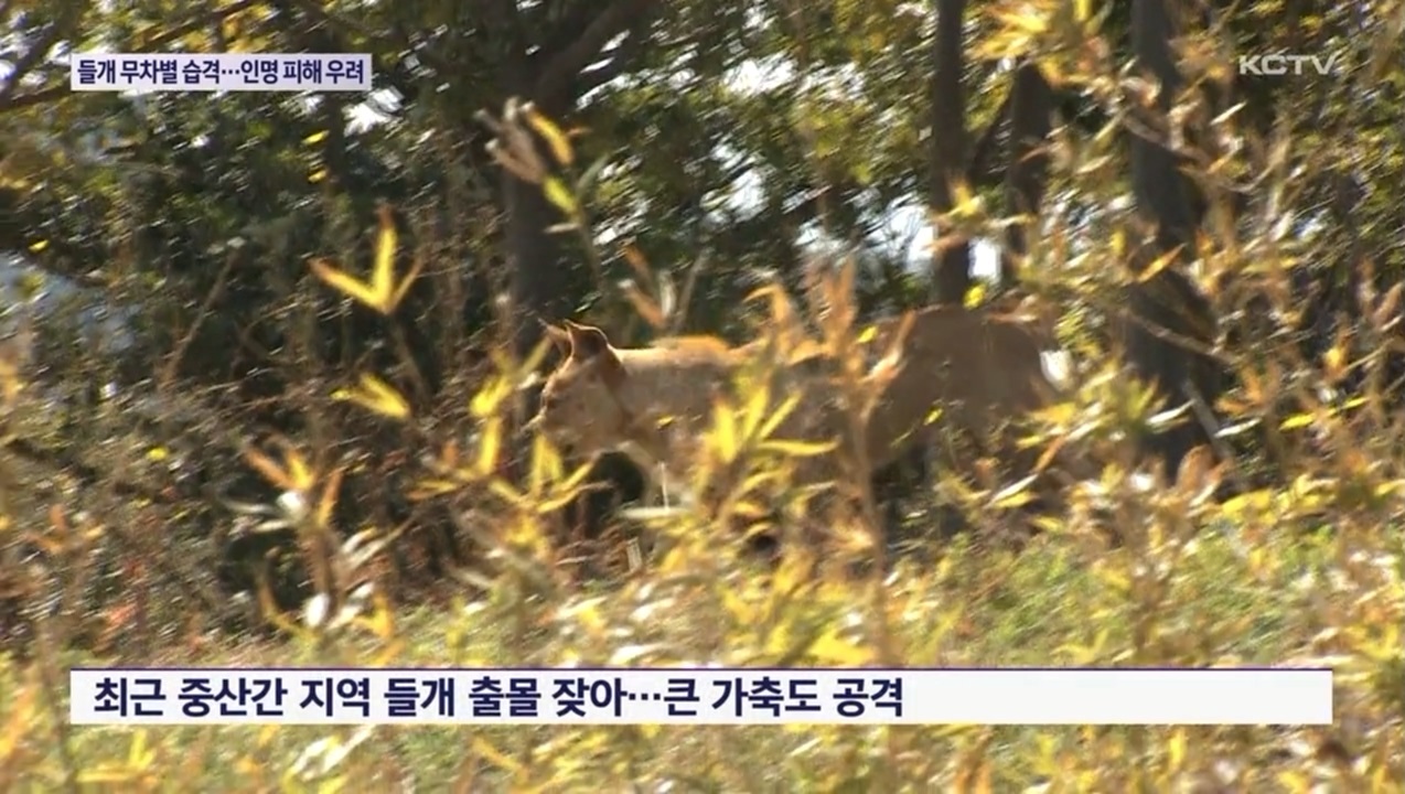 KCTV News7