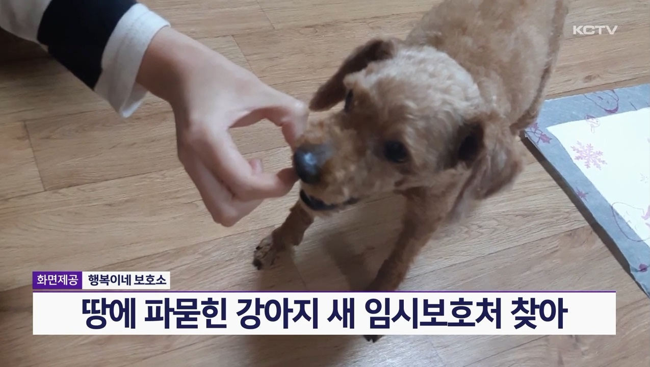 KCTV News7