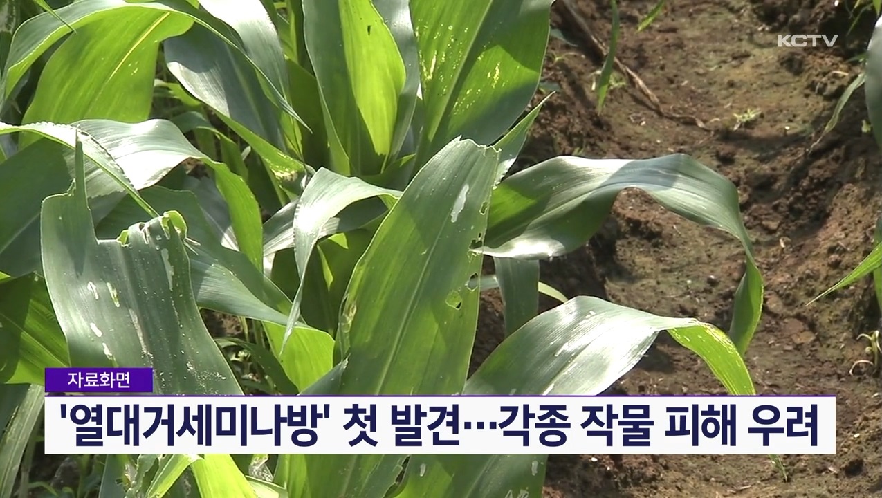 KCTV News7