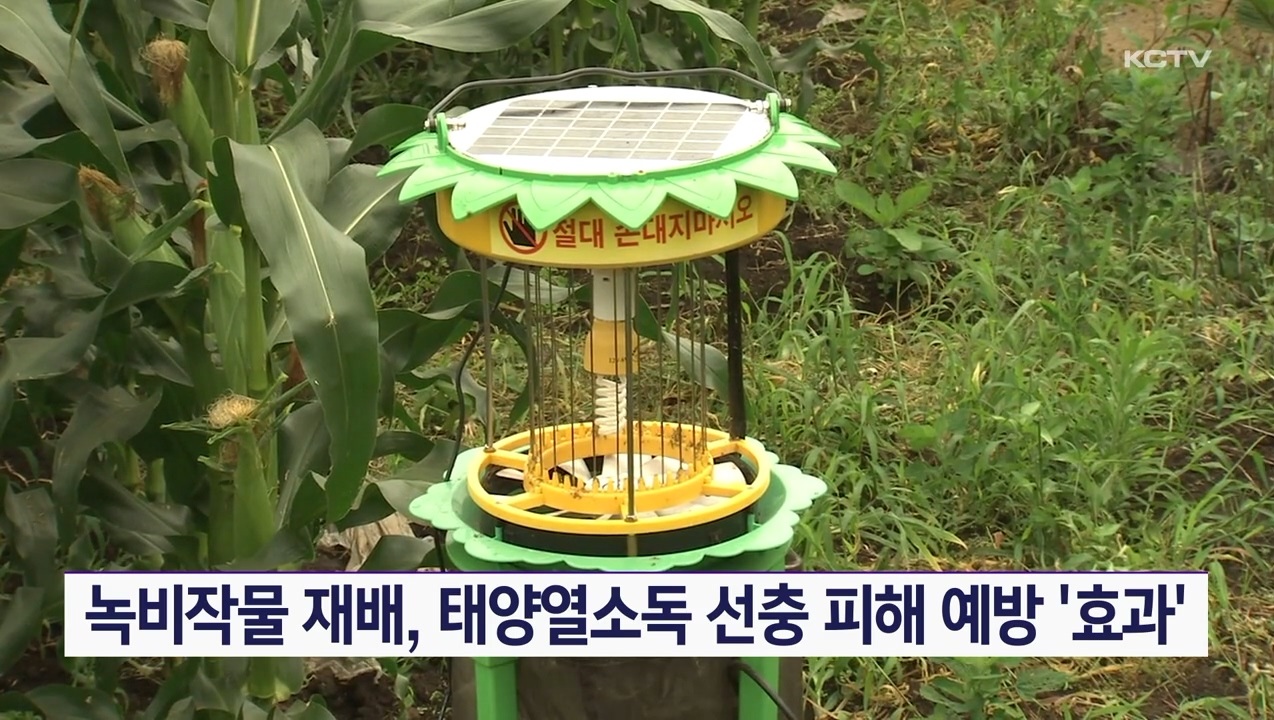 KCTV News7