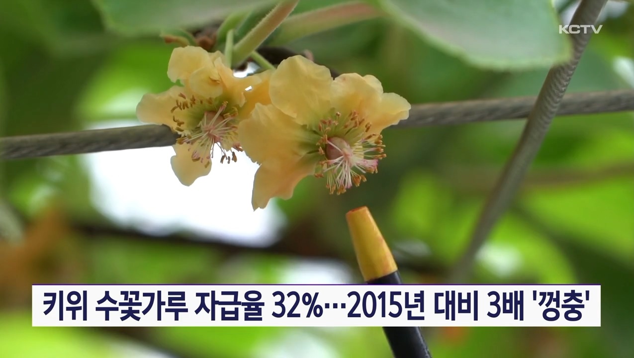 KCTV News7