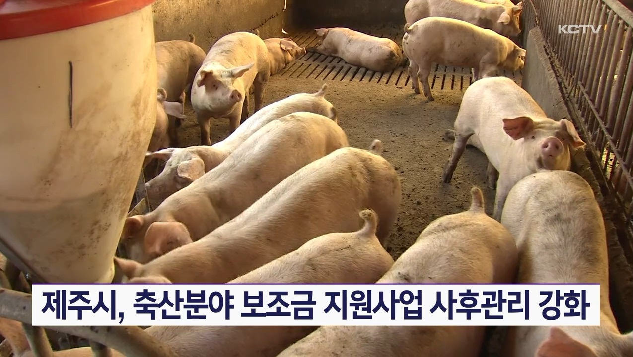 KCTV News7