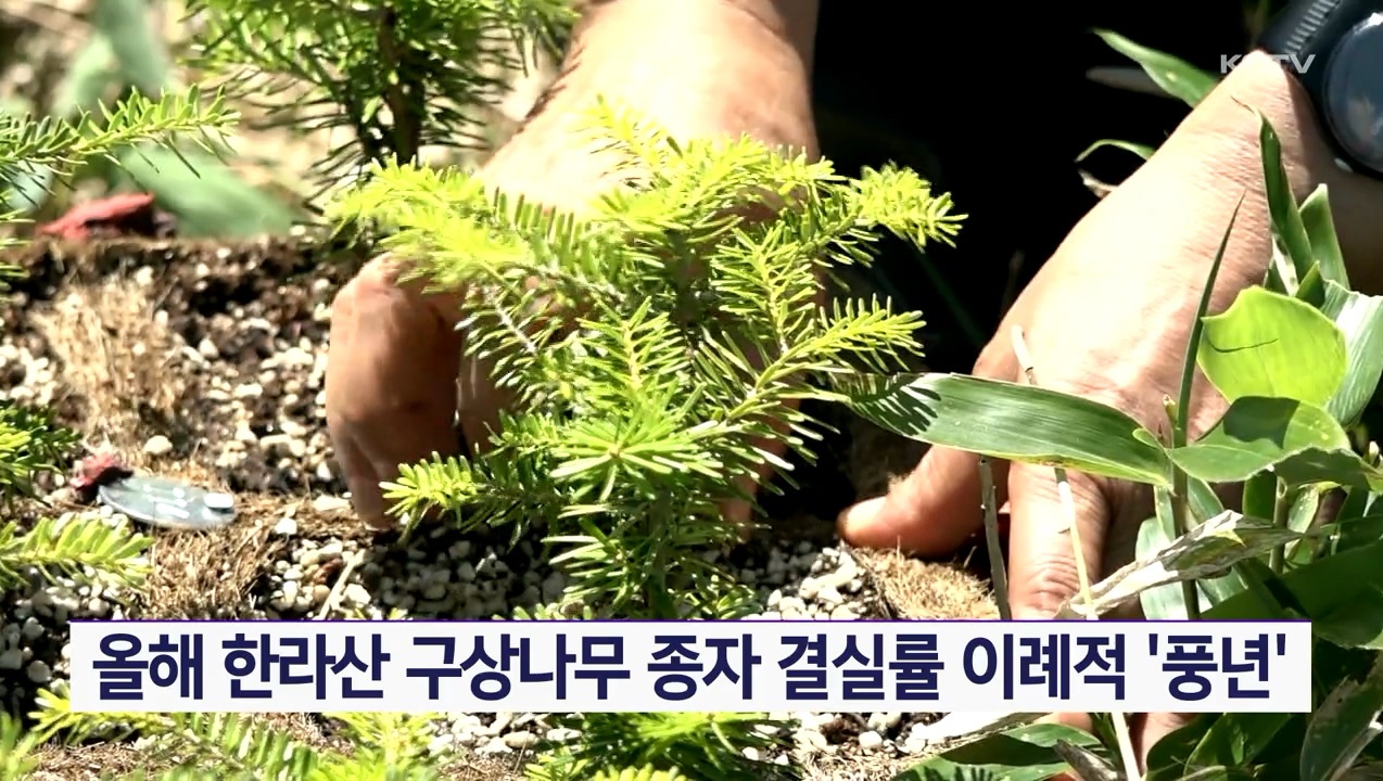 KCTV News7